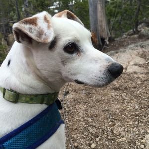 Meet your Posher, Mimi